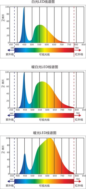 �׹����׹����׹�D�V